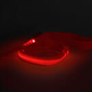 LED-es póráz - akkumulátoros - 120 x 2,5 cm - piros