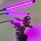 Gardlov Tripla növény termesztő lámpa (40 LED)